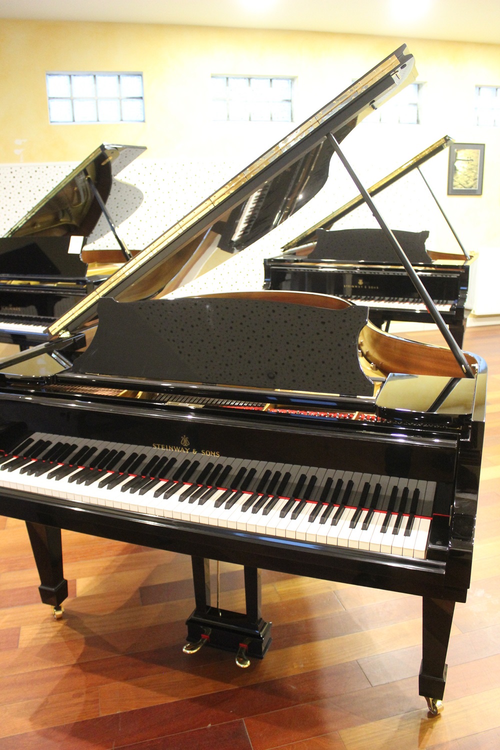 Pianos à queue